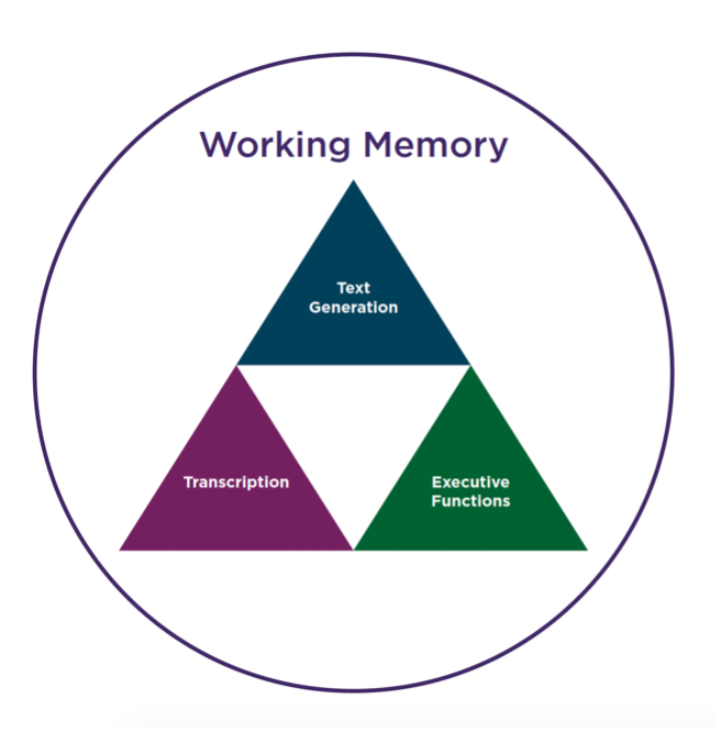 一个标记为“工作记忆”的圆，包含三个大小相等的标记三角形。这些三角形被排列成两行。下面一行有两个三角形:转录和执行功能。第三个三角形Text Generation位于最上面一行。
