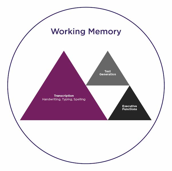 一个标记为工作记忆的圆圈，包含三个标记三角形:转录、文本生成和执行功能。转录三角形，包括书写、打字和拼写，比文本生成和执行功能三角形要大得多。