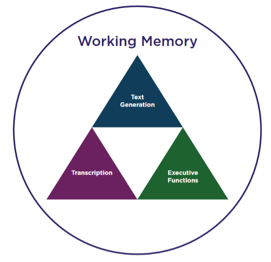 一个标记为工作记忆的圆，包含三个大小相等的标记三角形。这些三角形排成两行。最下面一行有两个三角形:转录和执行功能。它们在最上面一行中显示了第三个三角形Text Generation。
